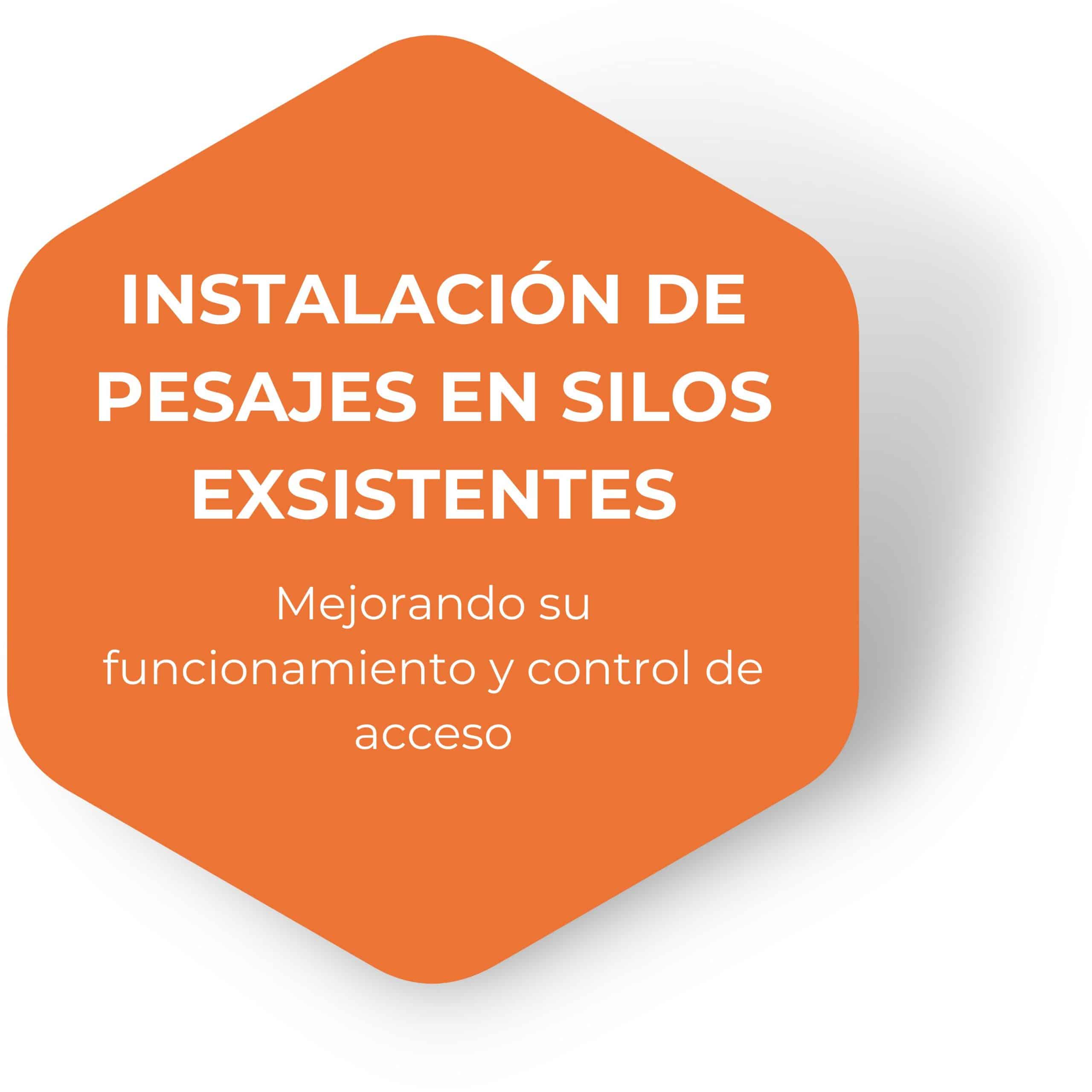 SERVICIOS - INSTALACIÓN DE PESAJES