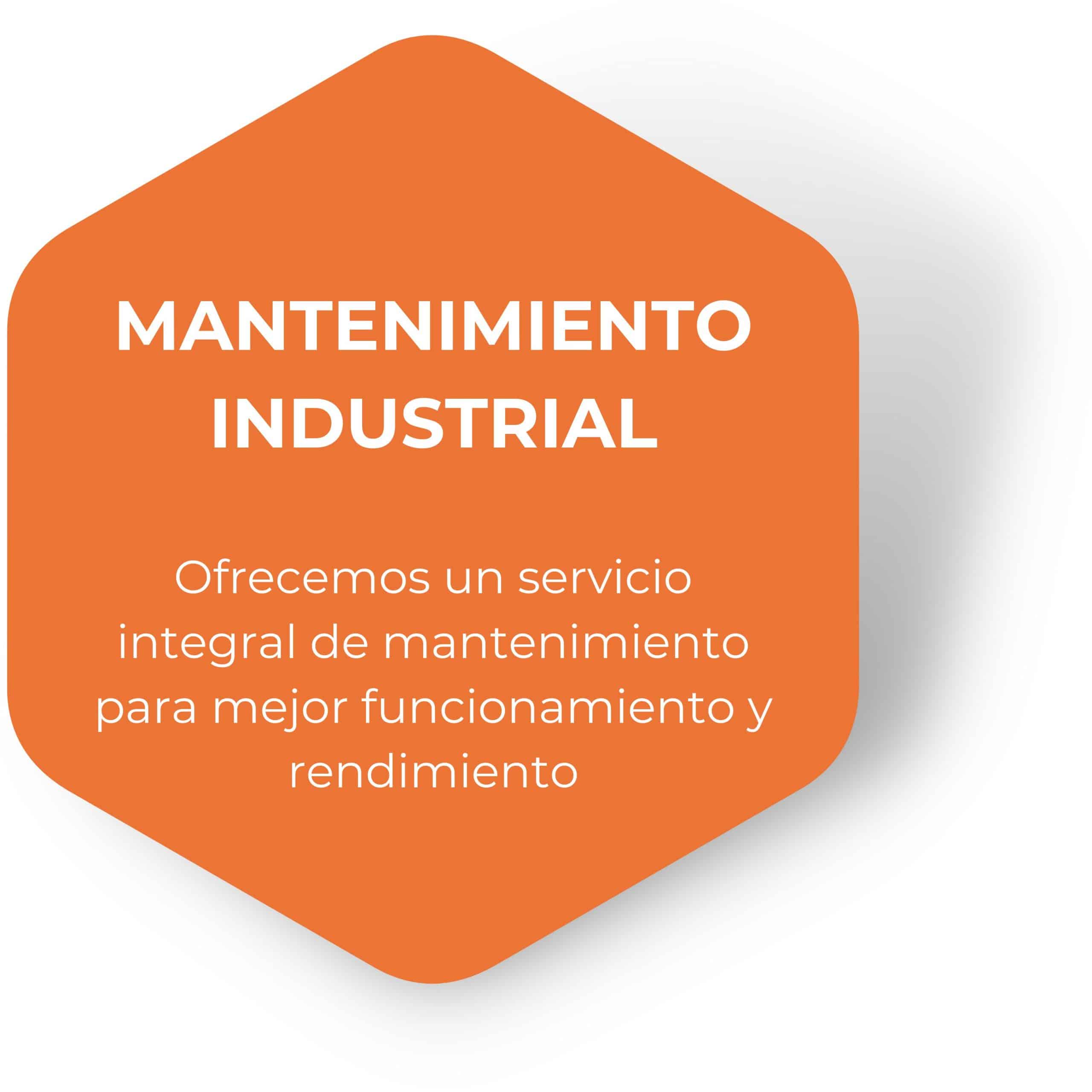 SERVICIOS - MANTENIMIENTO INDUSTRIAL